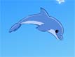 משחק דולפין כוכב-על