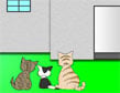 משחק: שלושה חתולים
